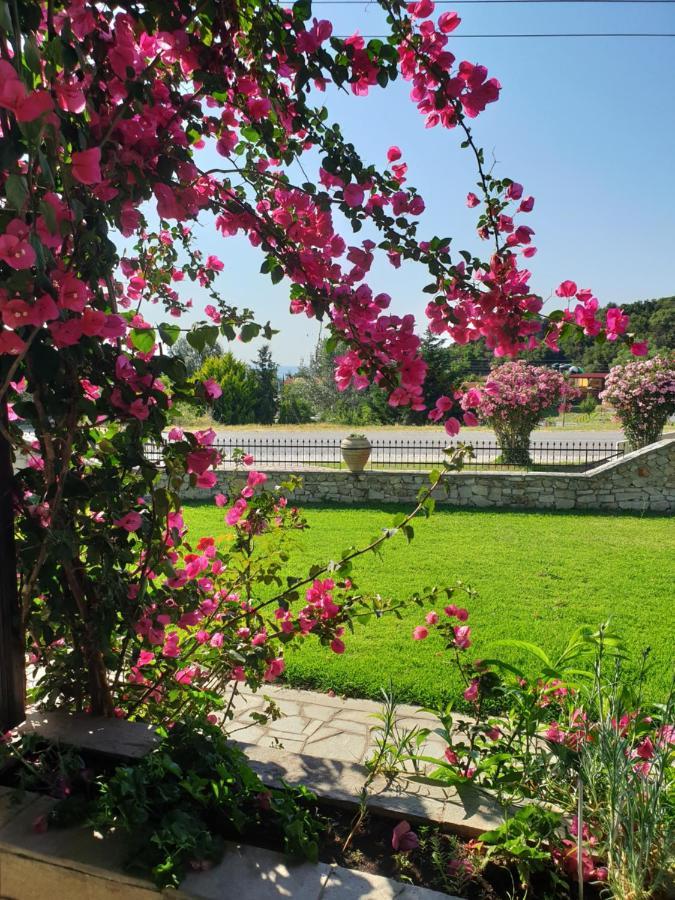 Hotel Ermioni Kalamítsion Zewnętrze zdjęcie